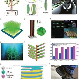 Pdf Bioinspired Designs And Biomimetic Applications Of Triboelectric