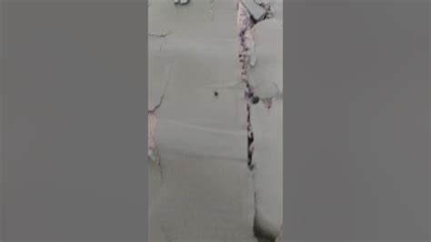 New York City Shelter Dhs Bed Youtube