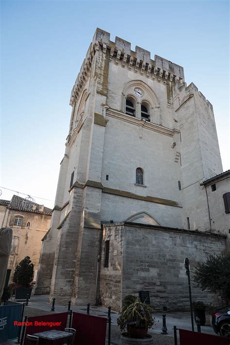 Bichos Y Mas Vlc De Paseo Por Villeneuve Lez Avignon