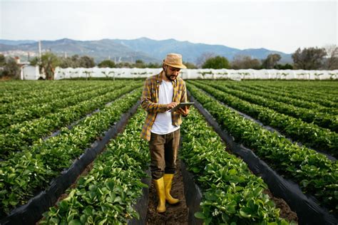 Agricultura E Meio Ambiente - Agricultura sustentável: saiba qual é a importância!