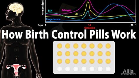 How Birth Control Pills Work Animation Youtube