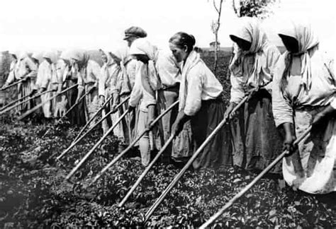 Холопы на Руси (с древнейших времен до конца XV в.)