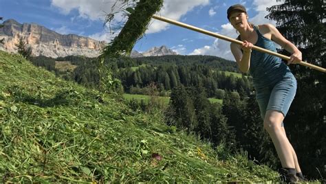 Unser Arbeitseinsatz Zwei Helfer Erz Hlen Bergbauernhilfe S Dtirol