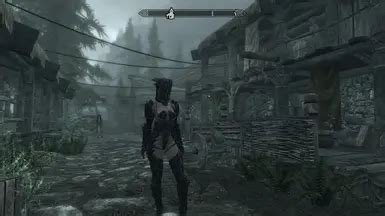 The Amazing World Of Bikini Armor Deutsch D At Skyrim Nexus Mods And Community