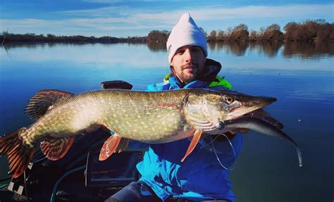 Leurre pour le brochet en hiver 5 leurres pour pêcher le brochet en hiver