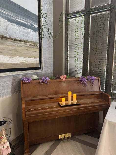 Ches... - Chestnut Hill Lodge Health and Rehabilitation Center