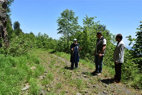 Ekoturizm Yolu Trabzon Un Turizmine Katk Sa Layacak Haberler