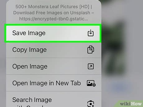3 Ways to Download a File from the Internet