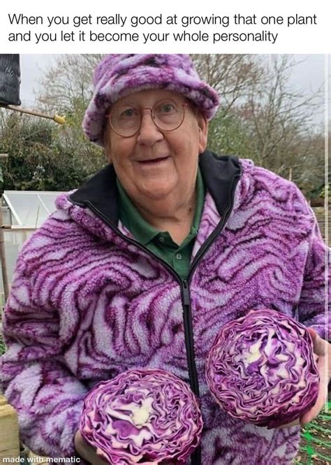 Memes W Linky Gay Nyc Dad