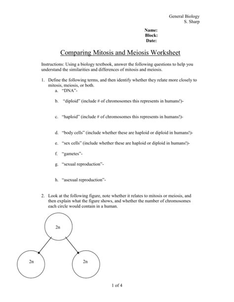 Mitosis vs. Meiosis Worksheet: Biology Cell Division