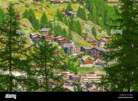 Beautiful alpine village in the pine woods, Switzerland, Swiss Alps ...
