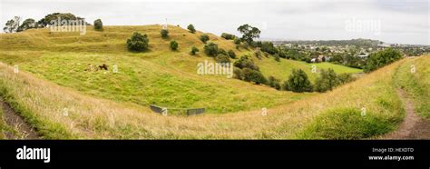 Grassy hills, Auckland, New Zealand Stock Photo - Alamy