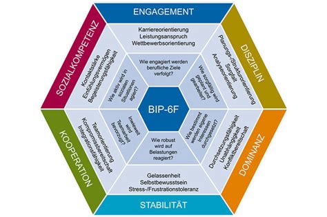 Die BIP®-Verfahren: Systematisches und wissenschaftlich-fundiertes ...