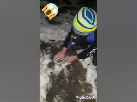 Взрывая взрывающиеся жучков. - YouTube