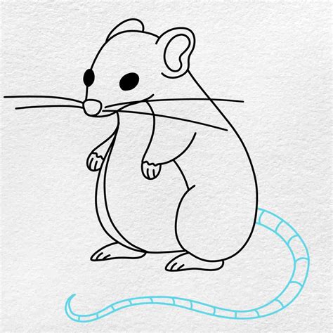 How To Draw A Rat Helloartsy