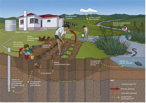 Contaminated Land Community Public Health