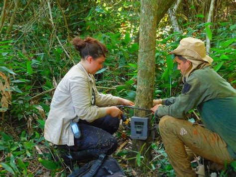 Monitorean Y Eval An Biodiversidad En La Reserva De Bi Sfera Itaip Con