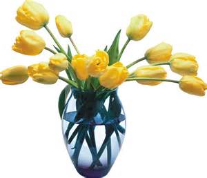 Beautiful Flower Vase With Flowers Png Clip Art Library The Best Porn