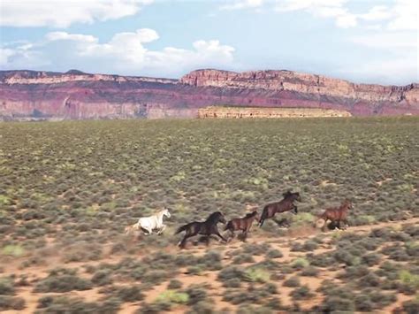 Kim Kardashian Nude Bound 2 2013 Video Best Sexy Scene HeroEro Tube