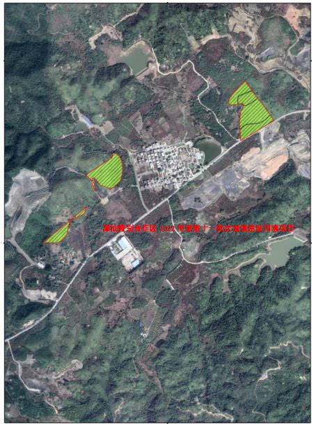 深汕特别合作区2022年度第十一批次城镇建设用地项目使用林地公示深汕网