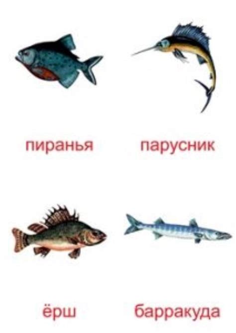Виды рыб картинки для детей