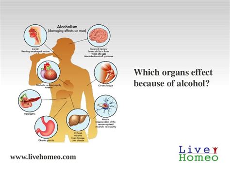 Organs Will Effect By Drinking Alcohol