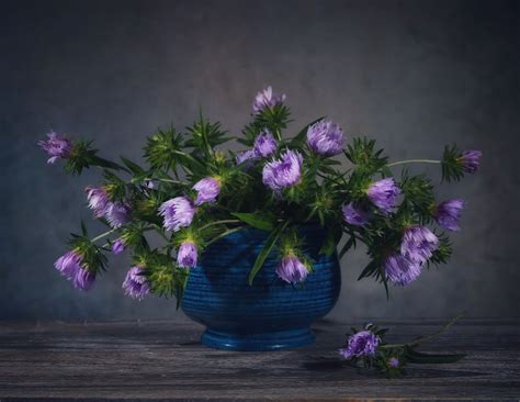 Berufkraut Gänseblümchen Fangping zhou als Kunstdruck oder Gemälde