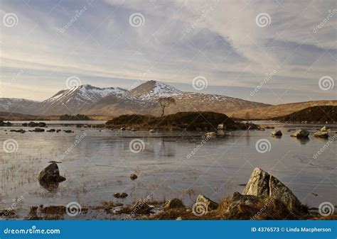 Rannoch Moor Stock Image Image Of Solitary Water Moorland 4376573