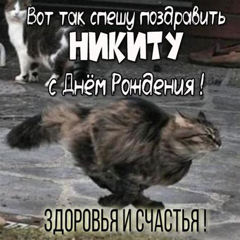 Картинка прикол с днем рождения Никита (скачать бесплатно)