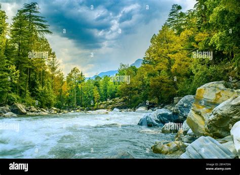parvati river flows   forest  strong currents kasol