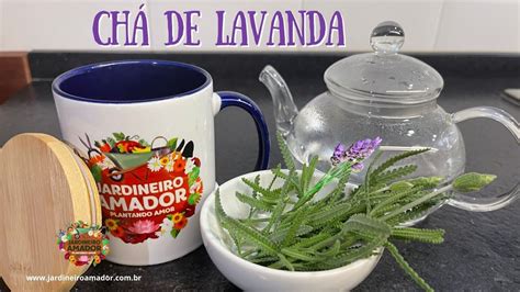 Propriedades Medicinais Do Ch Da Lavanda R Medio Caseiro Poderoso