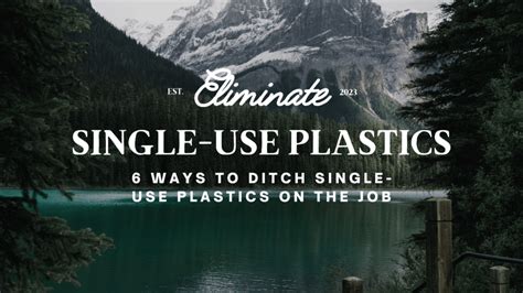 Eliminate Single Use Plastics 6 Ways To Ditch Them Supplyclub