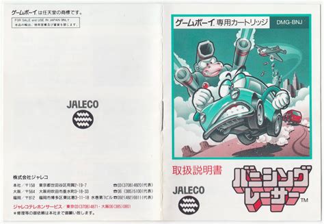 The Gay Gamer Manual Stimulation Banishing Racer Gameboy