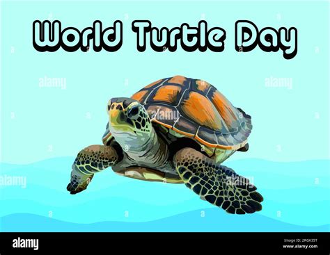 World Turtle Day Greetings 23 May Stock Photo Alamy