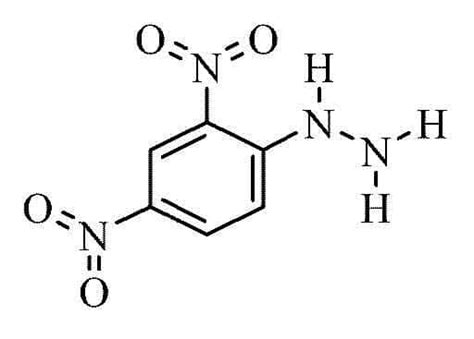 Acros Organics Ac117060250 2 4 Dinitrophenylhydrazine Moist Solid Contains Min 30 Water 25g