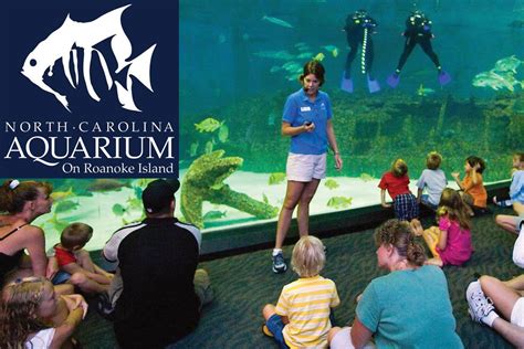 N.C. Aquarium on Roanoke Island | Roanoke island, North carolina aquarium, Wrightsville beach