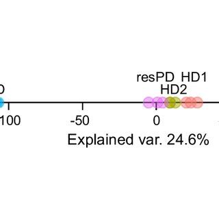 A Expression Of CD276 In Tumor Cell Lines B Subcellular Localization