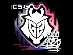 G Foil Rmr Csgo Sticker Price Cs Go Captain