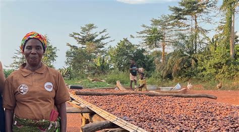 Portrait Of Ghanaian Cocoa Farmer Dina Ofori Farming Program By