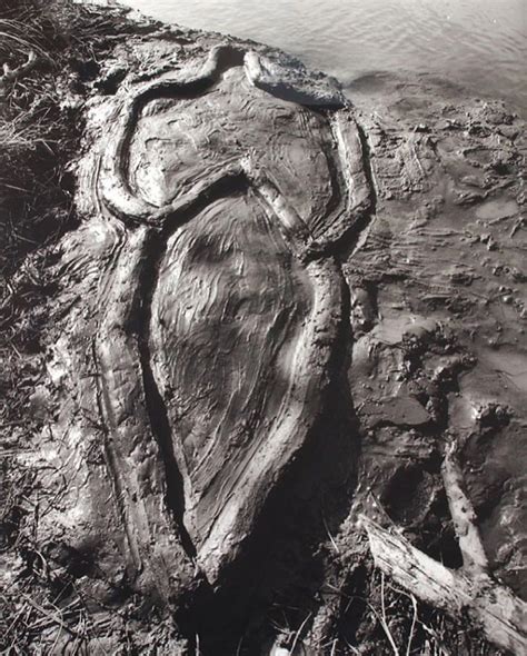 Ana Mendieta Earth Art
