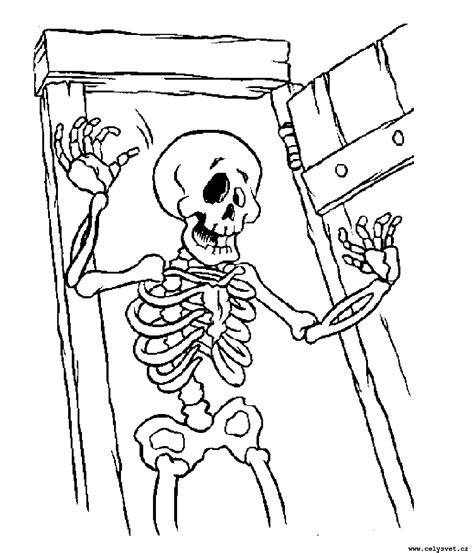 Скелет раскраска для детей (фото внутри) - drawpics.ru