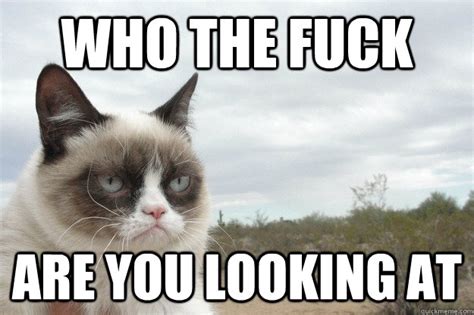 Who The Fuck Are You Looking At Tard Quickmeme