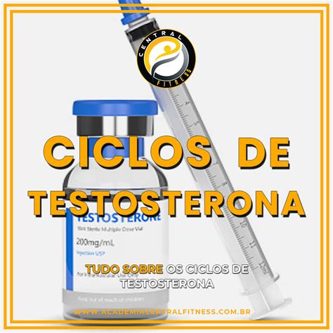 O Aumento Da Produção De Testosterona Pelas Células De