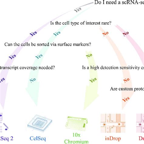 Flow Chart Summarizing Current ScRNA Seq Data Analysis Principles