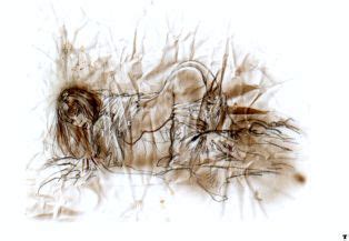 Prohibited Book 1 Luscious Hentai Manga Porn