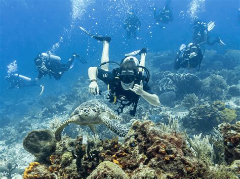 Introducir 72 Imagen Buceo Nocturno Cozumel Abzlocal Mx