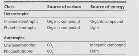 Bio Exam Lecture Flashcards Quizlet