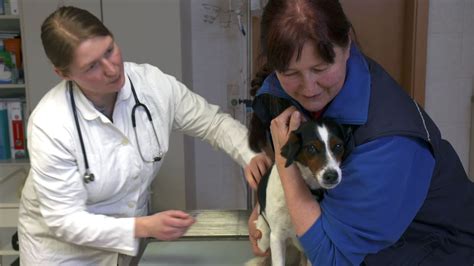 Frau Doktor Und Das Liebe Vieh 1 Hier Anschauen