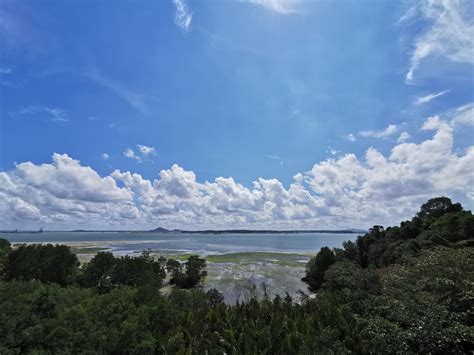 Adventures With The Naked Hermit Crabs