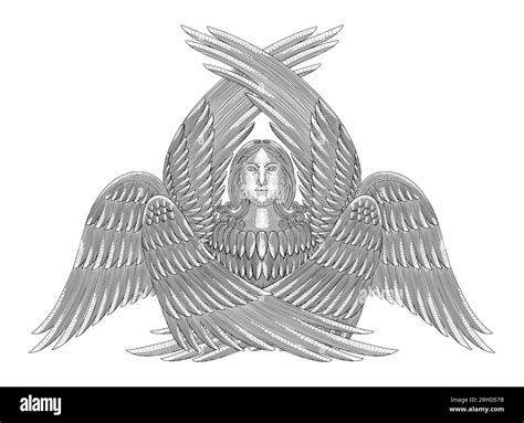 Seraphim angel, six winged Ange. vintage engraving drawing style vector ...